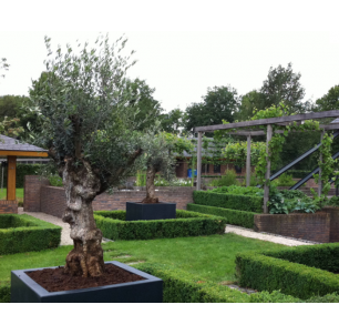 Jardinière Resifiber 1000 x... 2