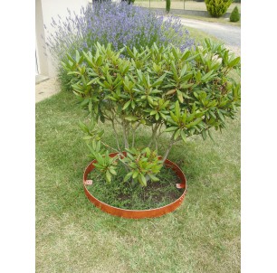 Entourage d`arbre acier... 2