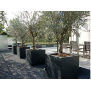 Jardinière Resifiber 800 x 400 x 900 Anthracite