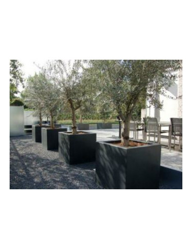 Jardinière Resifiber 800 x 400 x 900 Anthracite