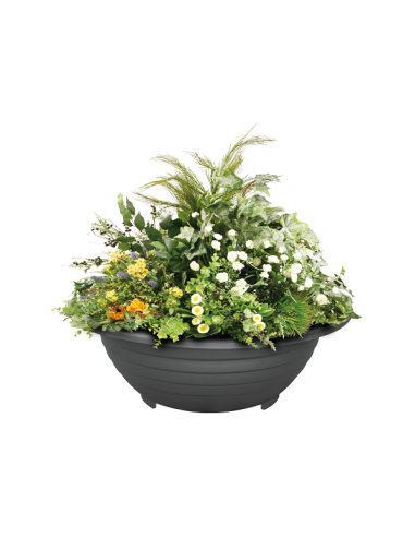 Jardinière Esferica