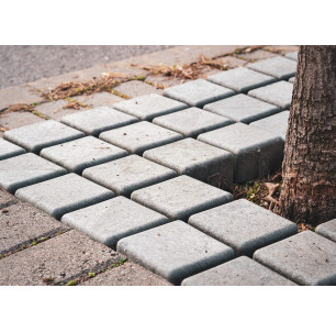 Grille d'arbre Ecológico 2