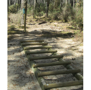 Sauts de grenouille 2