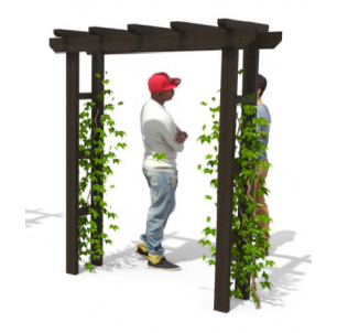 Pergola